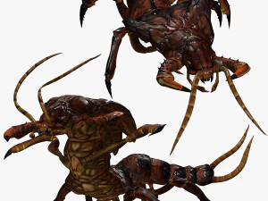 ムカデ 昆虫 ムカデ - アニメーション化されたムカデ 3D モデルをダウンロード - 3DS MAX 用 - Blender 3 ファイル - 3Dモデル