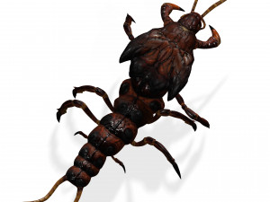 CENTIPEDE INSECT CENTIPEDE - DOWNLOAD CENTIPEDE 3D MODEL ANIMATED - FOR 3DS MAX - BLENDER 3 FILE - 3D मॉडल
