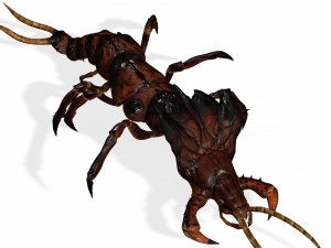 CENTIPEDE INSECT CENTIPEDE - DOWNLOAD CENTIPEDE 3D MODEL ANIMATED - FOR 3DS MAX - BLENDER 3 FILE - 3D मॉडल