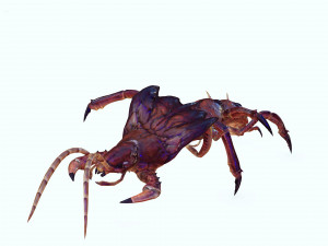 CENTIPEDE INSECT CENTIPEDE - DOWNLOAD CENTIPEDE 3D MODEL ANIMATED - FOR 3DS MAX - BLENDER 3 FILE - 3D मॉडल