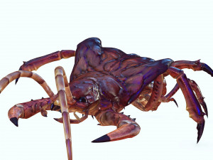 CENTIPEDE INSECT CENTIPEDE - DOWNLOAD CENTIPEDE 3D MODEL ANIMATED - FOR 3DS MAX - BLENDER 3 FILE - 3D मॉडल