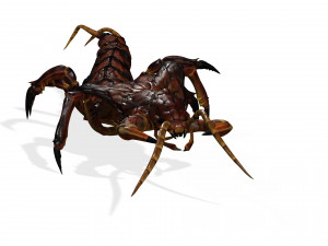CENTIPEDE INSECT CENTIPEDE - DOWNLOAD CENTIPEDE 3D MODEL ANIMATED - FOR 3DS MAX - BLENDER 3 FILE - 3D मॉडल