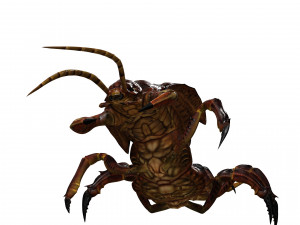 CENTIPEDE INSECT CENTIPEDE - DOWNLOAD CENTIPEDE 3D MODEL ANIMATED - FOR 3DS MAX - BLENDER 3 FILE - 3D मॉडल