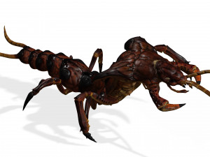 CENTIPEDE INSECT CENTIPEDE - DOWNLOAD CENTIPEDE 3D MODEL ANIMATED - FOR 3DS MAX - BLENDER 3 FILE - 3D मॉडल