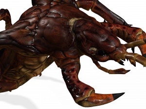 CENTIPEDE INSECT CENTIPEDE - DOWNLOAD CENTIPEDE 3D MODEL ANIMATED - FOR 3DS MAX - BLENDER 3 FILE - 3D मॉडल