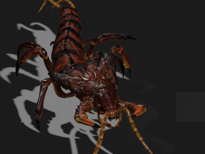 CENTIPEDE INSECT CENTIPEDE - DOWNLOAD CENTIPEDE 3D MODEL ANIMATED - FOR 3DS MAX - BLENDER 3 FILE - 3D मॉडल