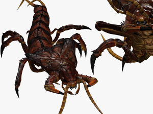 CENTIPEDE INSECT CENTIPEDE - DOWNLOAD CENTIPEDE 3D MODEL ANIMATED - FOR 3DS MAX - BLENDER 3 FILE - 3D मॉडल