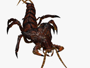 CENTIPEDE INSECT CENTIPEDE - DOWNLOAD CENTIPEDE 3D MODEL ANIMATED - FOR 3DS MAX - BLENDER 3 FILE - 3D मॉडल