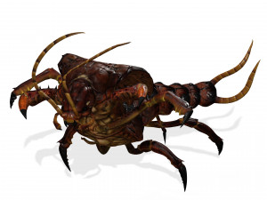 CENTIPEDE INSECT CENTIPEDE - DOWNLOAD CENTIPEDE 3D MODEL ANIMATED - FOR 3DS MAX - BLENDER 3 FILE - 3D मॉडल
