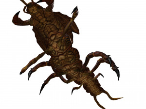 CENTIPEDE INSECT CENTIPEDE - DOWNLOAD CENTIPEDE 3D MODEL ANIMATED - FOR 3DS MAX - BLENDER 3 FILE - 3D मॉडल