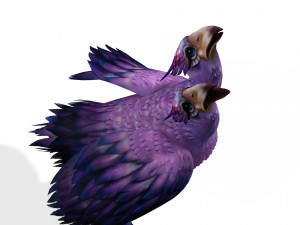 DINOSAUR DIATRYMA EXTINCT BIRD DINOSAUR BIRD - PREDATOR - RAPTOR - MONSTER CHARIZARD 3D मॉडल
