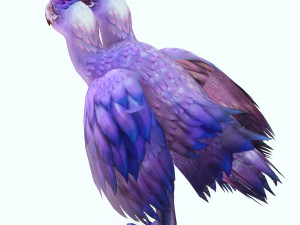 DINOSAUR DIATRYMA EXTINCT BIRD DINOSAUR BIRD - PREDATOR - RAPTOR - MONSTER CHARIZARD 3D मॉडल