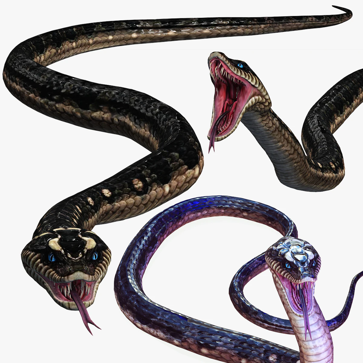 DOWNLOAD VIPER 3D MODEL - DINOSAUR - MYTHOLOGICAL - FIHS - PYTHON - REPTILE - SNAKE - ANIMATED - 3D Model .c4d .max .obj .3ds .fbx .stl .blend 