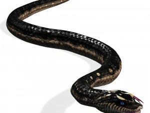 DOWNLOAD VIPER 3D MODEL - DINOSAUR - MYTHOLOGICAL - FIHS - PYTHON - REPTILE - SNAKE - ANIMATED - 3D Model