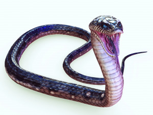 DOWNLOAD VIPER 3D MODEL - DINOSAUR - MYTHOLOGICAL - FIHS - PYTHON - REPTILE - SNAKE - ANIMATED - 3D Модель