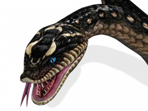 DOWNLOAD VIPER 3D MODEL - DINOSAUR - MYTHOLOGICAL - FIHS - PYTHON - REPTILE - SNAKE - ANIMATED - 3D Модель