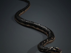 DOWNLOAD VIPER 3D MODEL - DINOSAUR - MYTHOLOGICAL - FIHS - PYTHON - REPTILE - SNAKE - ANIMATED - 3D Модель