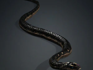 DOWNLOAD VIPER 3D MODEL - DINOSAUR - MYTHOLOGICAL - FIHS - PYTHON - REPTILE - SNAKE - ANIMATED - 3D Model