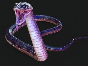 DOWNLOAD VIPER 3D MODEL - DINOSAUR - MYTHOLOGICAL - FIHS - PYTHON - REPTILE - SNAKE - ANIMATED - 3D Модель