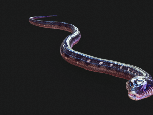 DOWNLOAD VIPER 3D MODEL - DINOSAUR - MYTHOLOGICAL - FIHS - PYTHON - REPTILE - SNAKE - ANIMATED - 3D Модель