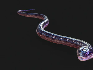 DOWNLOAD VIPER 3D MODEL - DINOSAUR - MYTHOLOGICAL - FIHS - PYTHON - REPTILE - SNAKE - ANIMATED - 3D Model
