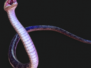 DOWNLOAD VIPER 3D MODEL - DINOSAUR - MYTHOLOGICAL - FIHS - PYTHON - REPTILE - SNAKE - ANIMATED - 3D Модель