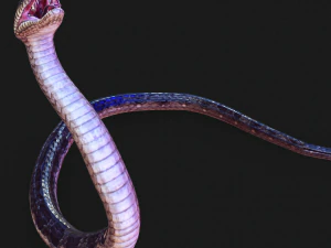 DOWNLOAD VIPER 3D MODEL - DINOSAUR - MYTHOLOGICAL - FIHS - PYTHON - REPTILE - SNAKE - ANIMATED - 3D Model