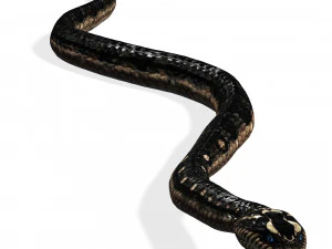 DOWNLOAD VIPER 3D MODEL - DINOSAUR - MYTHOLOGICAL - FIHS - PYTHON - REPTILE - SNAKE - ANIMATED - 3D Model