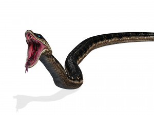 DOWNLOAD VIPER 3D MODEL - DINOSAUR - MYTHOLOGICAL - FIHS - PYTHON - REPTILE - SNAKE - ANIMATED - 3D Модель