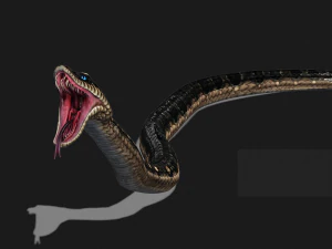 DOWNLOAD VIPER 3D MODEL - DINOSAUR - MYTHOLOGICAL - FIHS - PYTHON - REPTILE - SNAKE - ANIMATED - 3D Model