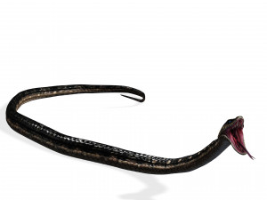DOWNLOAD VIPER 3D MODEL - DINOSAUR - MYTHOLOGICAL - FIHS - PYTHON - REPTILE - SNAKE - ANIMATED - 3D Модель