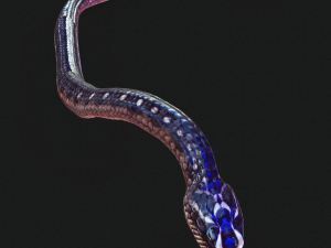 DOWNLOAD VIPER 3D MODEL - DINOSAUR - MYTHOLOGICAL - FIHS - PYTHON - REPTILE - SNAKE - ANIMATED - 3D Модель