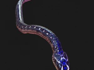 DOWNLOAD VIPER 3D MODEL - DINOSAUR - MYTHOLOGICAL - FIHS - PYTHON - REPTILE - SNAKE - ANIMATED - 3D Model