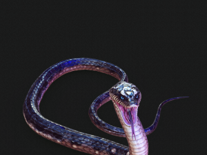 DOWNLOAD VIPER 3D MODEL - DINOSAUR - MYTHOLOGICAL - FIHS - PYTHON - REPTILE - SNAKE - ANIMATED - 3D Модель