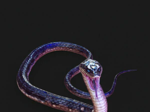 DOWNLOAD VIPER 3D MODEL - DINOSAUR - MYTHOLOGICAL - FIHS - PYTHON - REPTILE - SNAKE - ANIMATED - 3D Model
