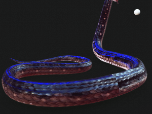 DOWNLOAD VIPER 3D MODEL - DINOSAUR - MYTHOLOGICAL - FIHS - PYTHON - REPTILE - SNAKE - ANIMATED - 3D Модель
