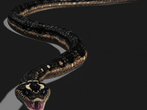 DOWNLOAD VIPER 3D MODEL - DINOSAUR - MYTHOLOGICAL - FIHS - PYTHON - REPTILE - SNAKE - ANIMATED - 3D Модель