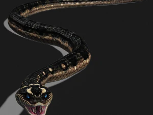 DOWNLOAD VIPER 3D MODEL - DINOSAUR - MYTHOLOGICAL - FIHS - PYTHON - REPTILE - SNAKE - ANIMATED - 3D Model