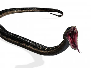 DOWNLOAD VIPER 3D MODEL - DINOSAUR - MYTHOLOGICAL - FIHS - PYTHON - REPTILE - SNAKE - ANIMATED - 3D Model