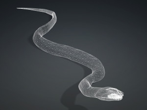 DOWNLOAD VIPER 3D MODEL - DINOSAUR - MYTHOLOGICAL - FIHS - PYTHON - REPTILE - SNAKE - ANIMATED - 3D Модель