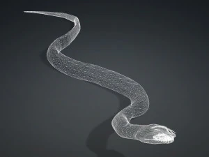 DOWNLOAD VIPER 3D MODEL - DINOSAUR - MYTHOLOGICAL - FIHS - PYTHON - REPTILE - SNAKE - ANIMATED - 3D Model