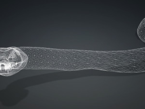 DOWNLOAD VIPER 3D MODEL - DINOSAUR - MYTHOLOGICAL - FIHS - PYTHON - REPTILE - SNAKE - ANIMATED - 3D Модель