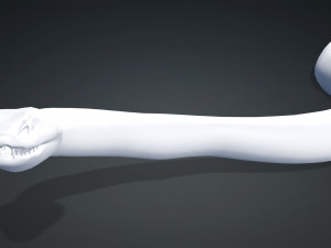 DOWNLOAD VIPER 3D MODEL - DINOSAUR - MYTHOLOGICAL - FIHS - PYTHON - REPTILE - SNAKE - ANIMATED - 3D Модель