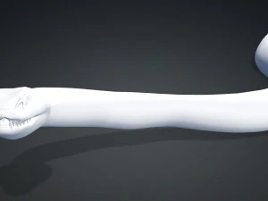 DOWNLOAD VIPER 3D MODEL - DINOSAUR - MYTHOLOGICAL - FIHS - PYTHON - REPTILE - SNAKE - ANIMATED - 3D Model