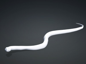 DOWNLOAD VIPER 3D MODEL - DINOSAUR - MYTHOLOGICAL - FIHS - PYTHON - REPTILE - SNAKE - ANIMATED - 3D Модель