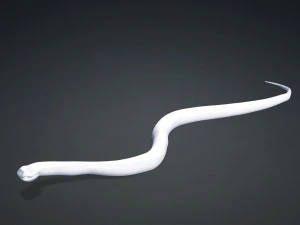 DOWNLOAD VIPER 3D MODEL - DINOSAUR - MYTHOLOGICAL - FIHS - PYTHON - REPTILE - SNAKE - ANIMATED - 3D Model