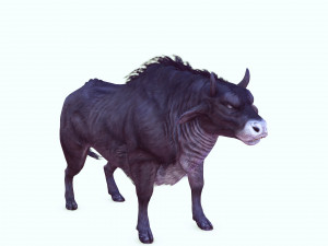 DOWNLOAD BUFFALO 3D MODEL - 3D MODEL ANIMATED - GOAT BULL COW - GOAT BULL COW 3D Модель