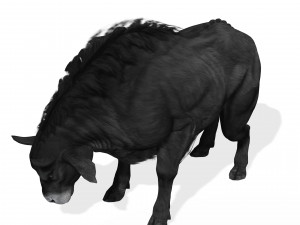 DOWNLOAD BUFFALO 3D MODEL - 3D MODEL ANIMATED - GOAT BULL COW - GOAT BULL COW 3D Модель