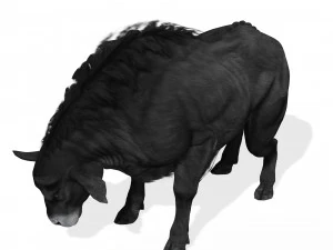 SCARICA MODELLO 3D BUFALO - MODELLO 3D ANIMATO - CAPRA TORO MUCCA - CAPRA TORO MUCCA Modello 3D