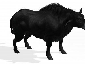 DOWNLOAD BUFFALO 3D MODEL - 3D MODEL ANIMATED - GOAT BULL COW - GOAT BULL COW 3D Модель